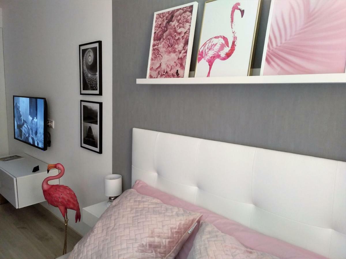 Estudio Alicante Centro Zewnętrze zdjęcie